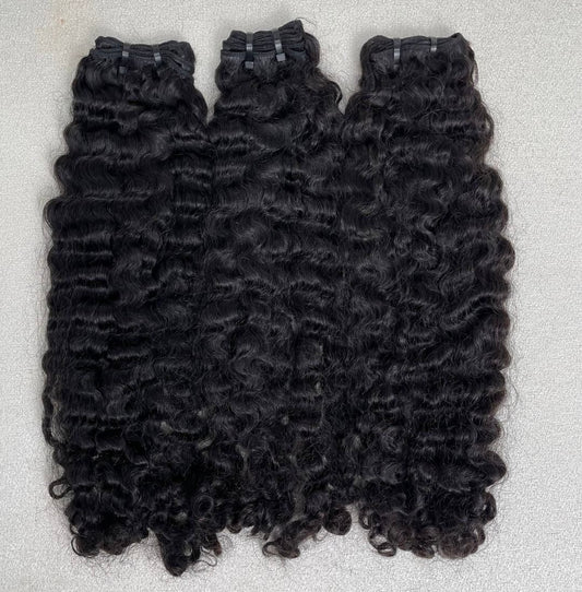 Burmese Curly 3 Bundle Deal