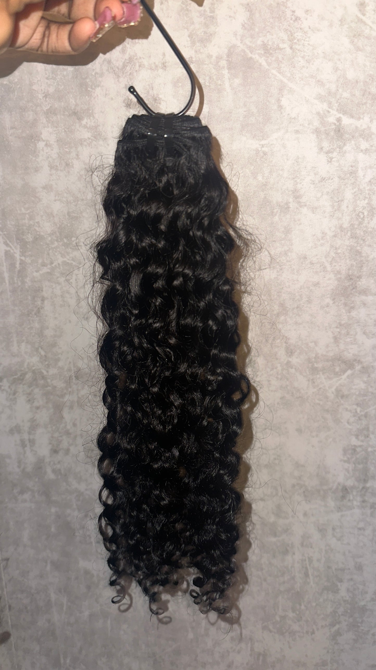 Burmese Curly 4 Bundle Deals